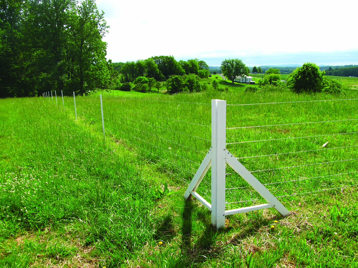 Timeless Fence System