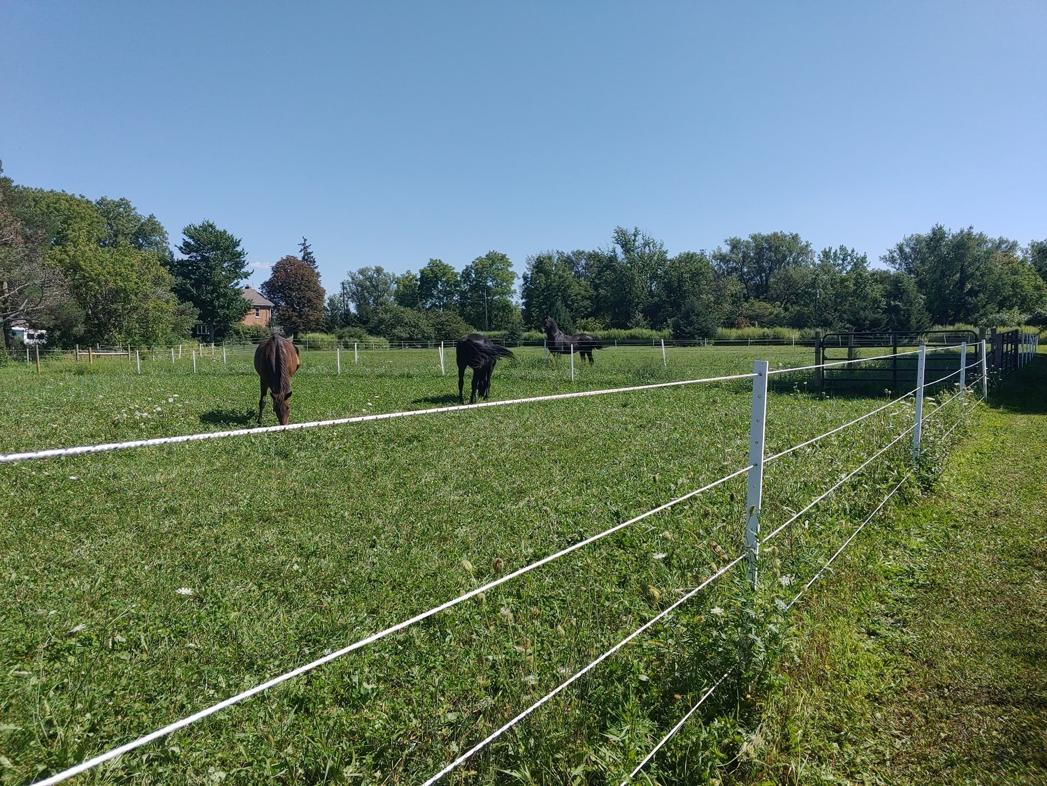 Timeless Fence System